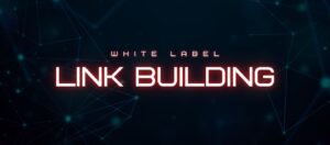White label link building company